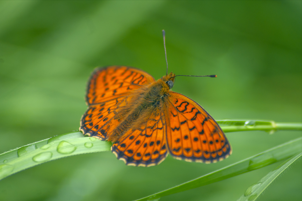 Warten auf die Sonne