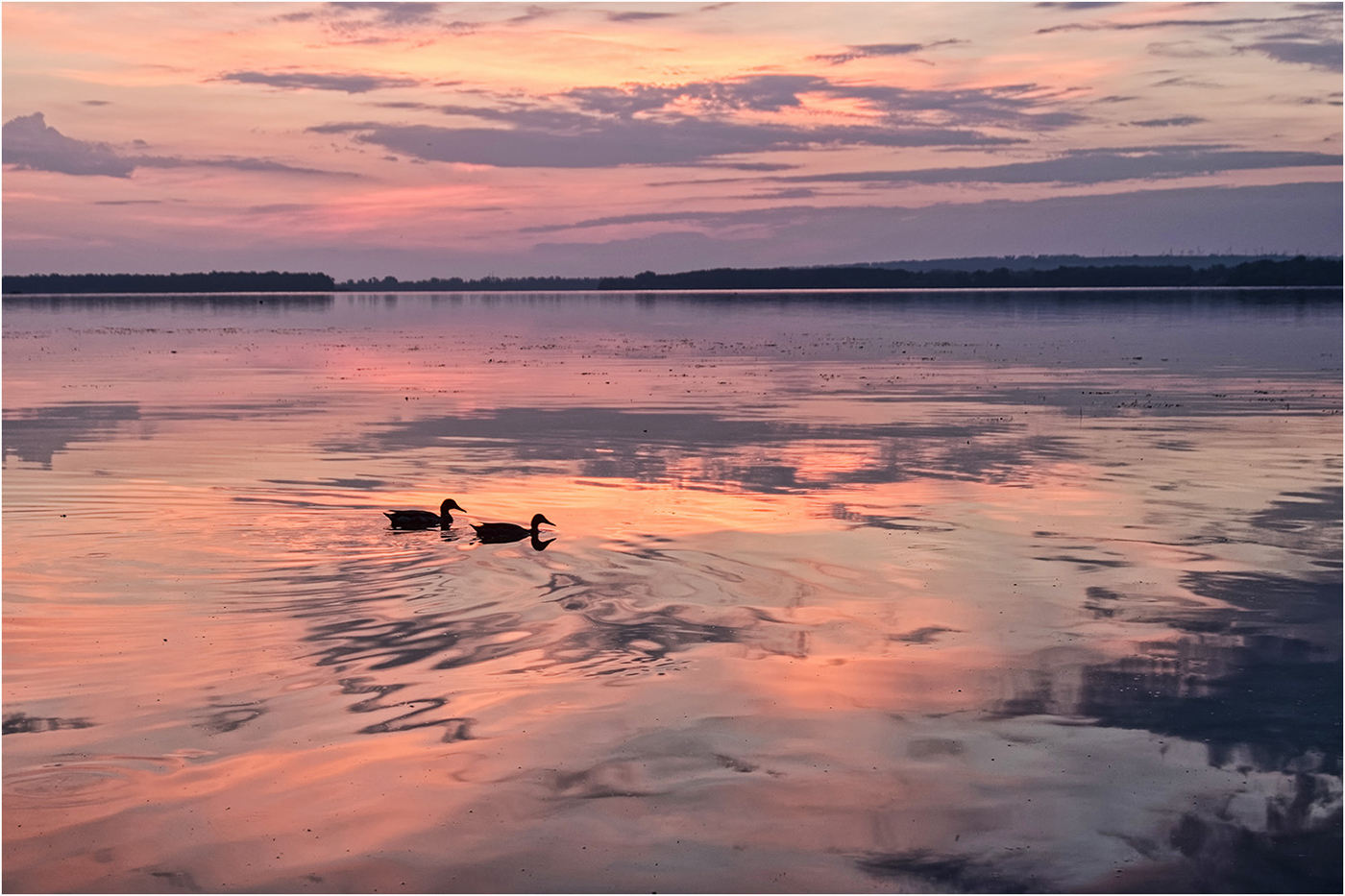 Gemeinsam für das Leben