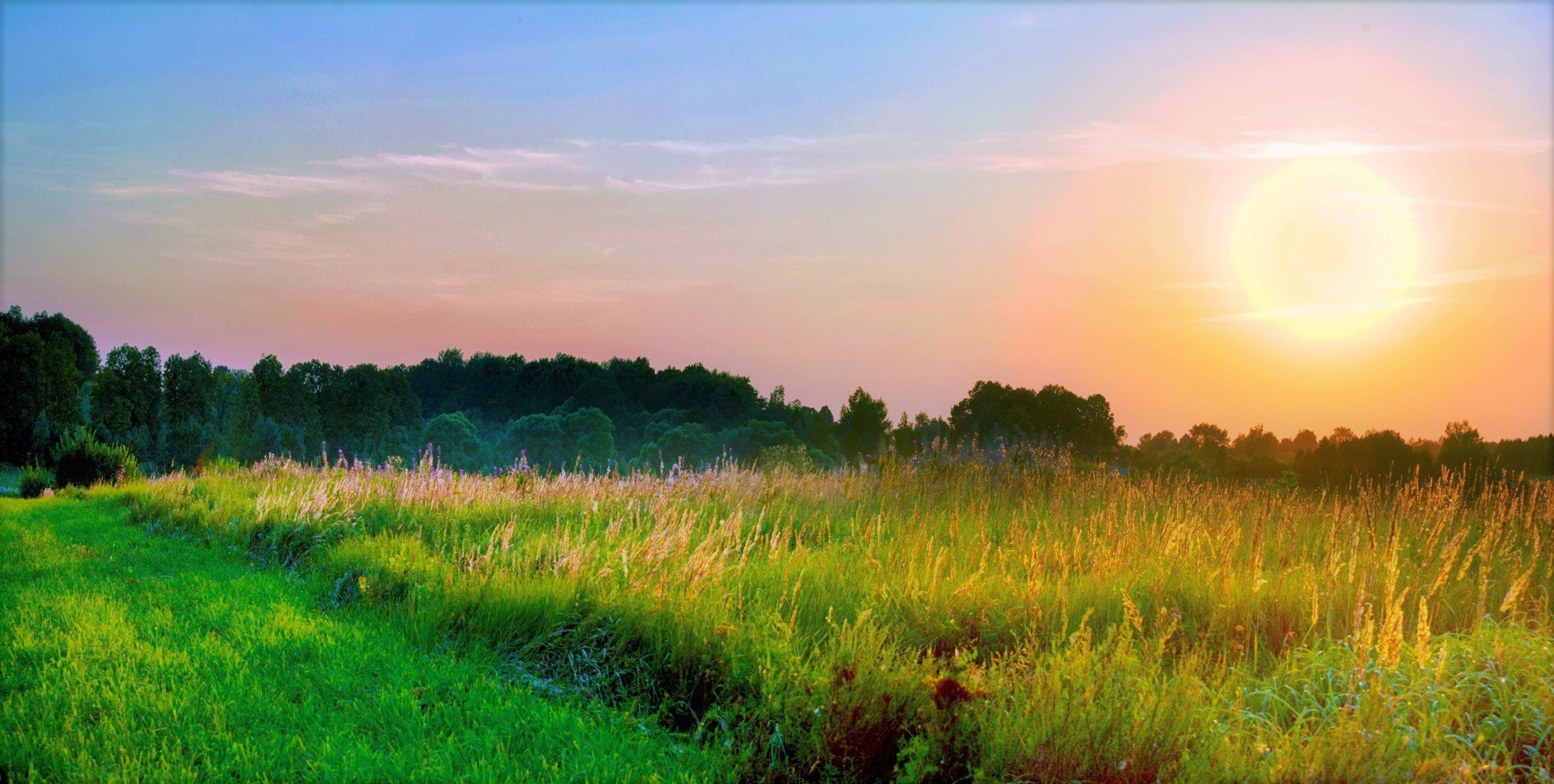 Möge es immer Sonnenschein