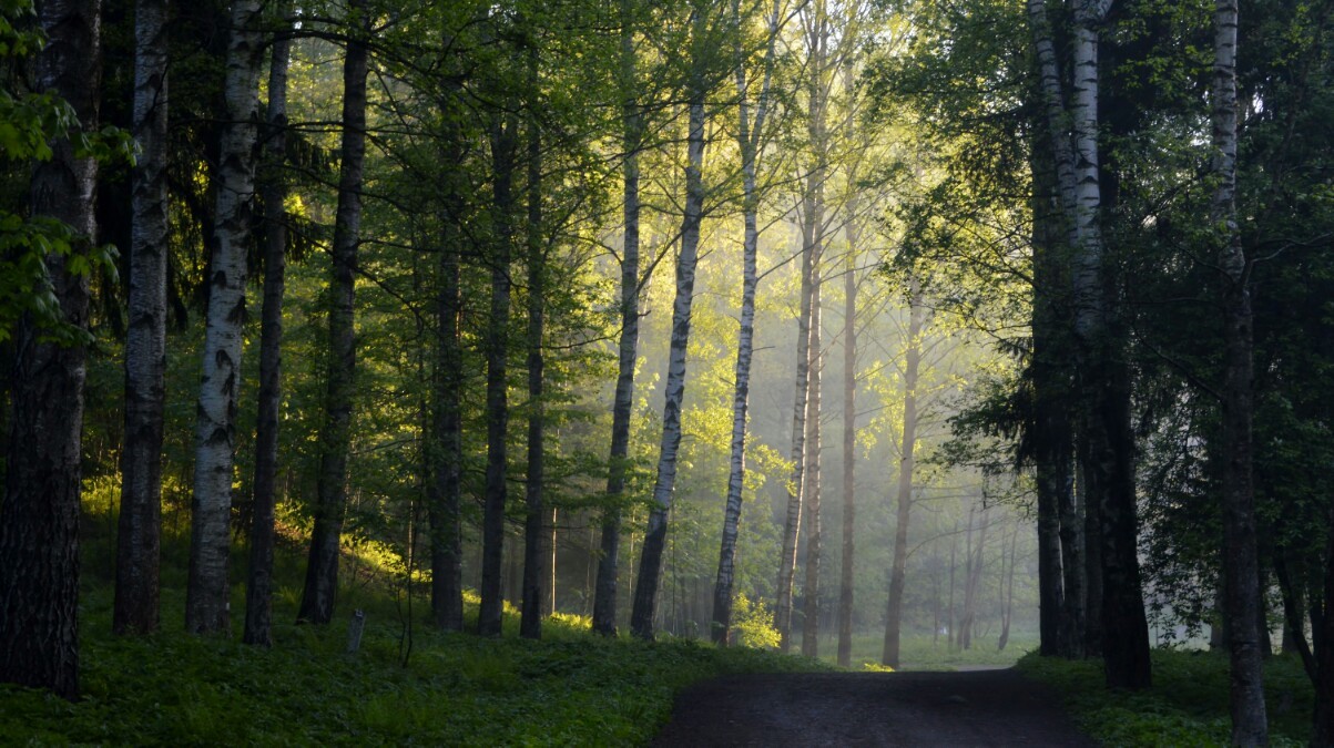 gleich um die Ecke ....