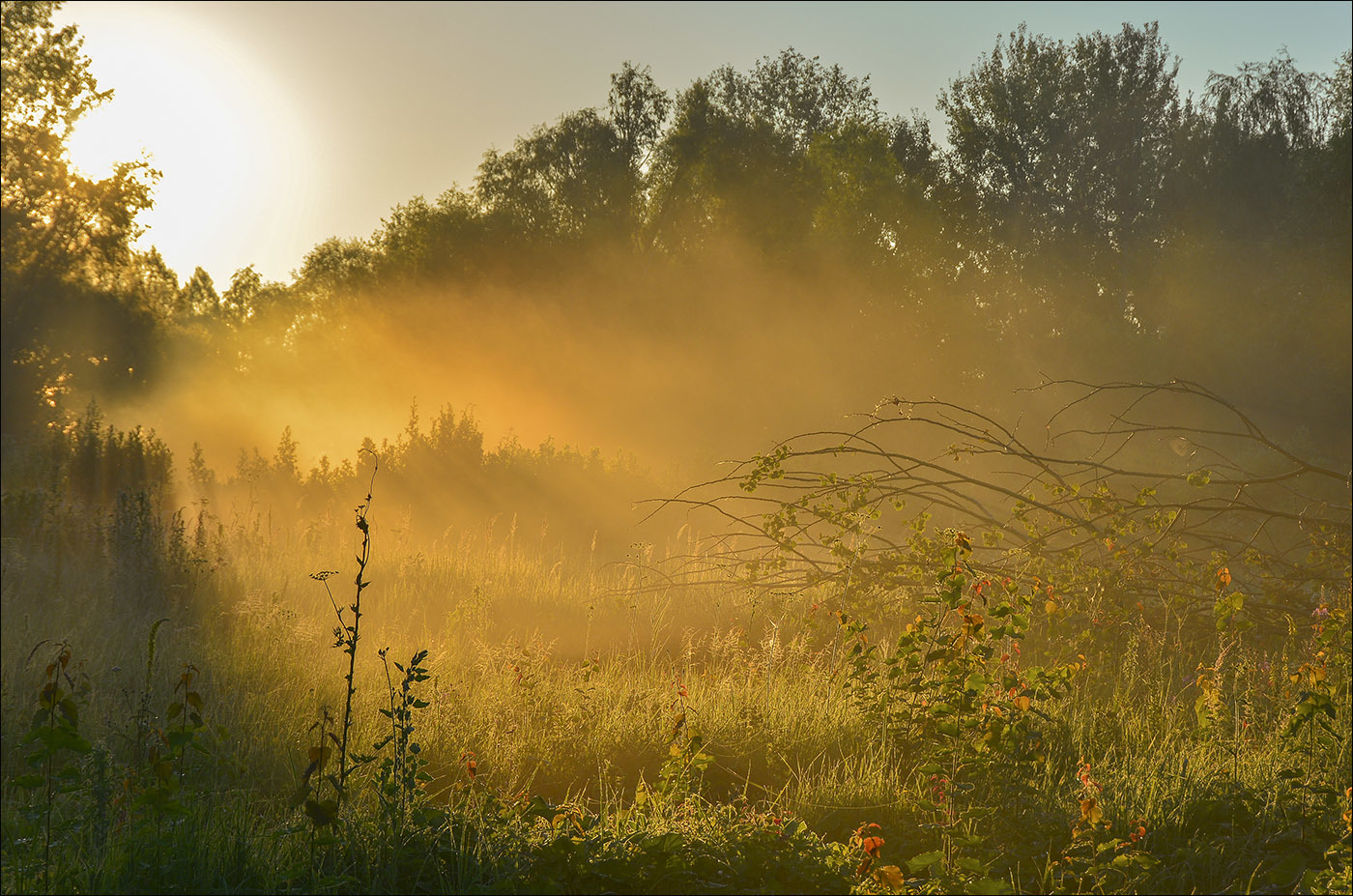 Durch den Morgennebel