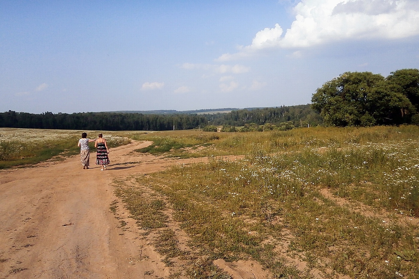 Einheimische Freiflächen