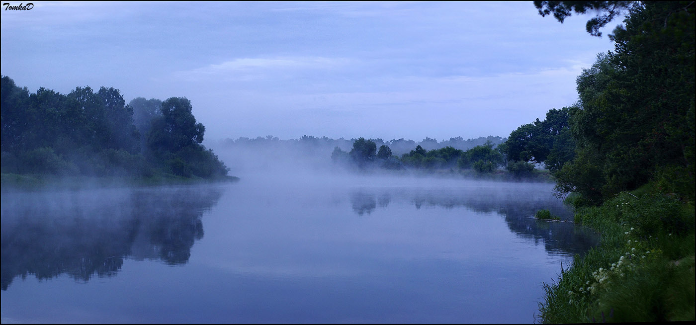 Dawn of the Berezina