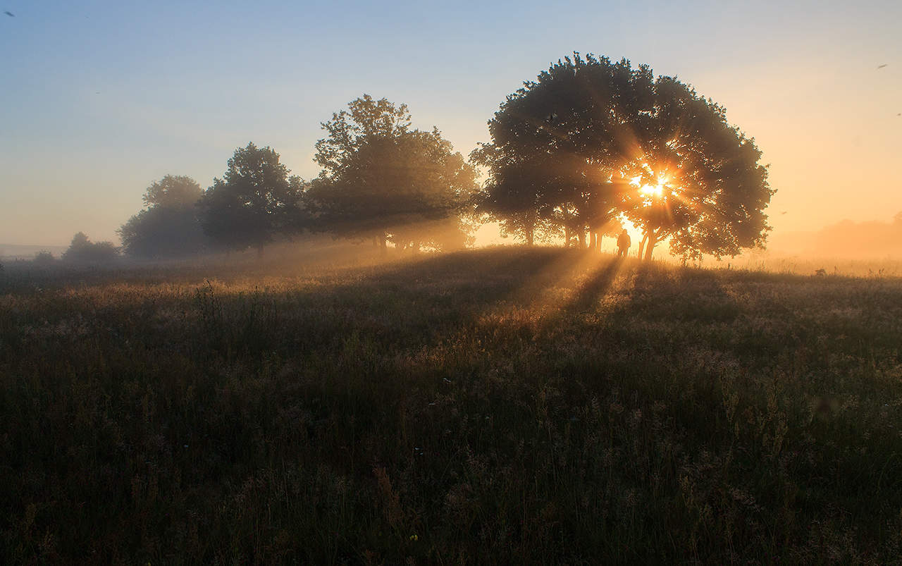 Im Licht eines neuen Tages