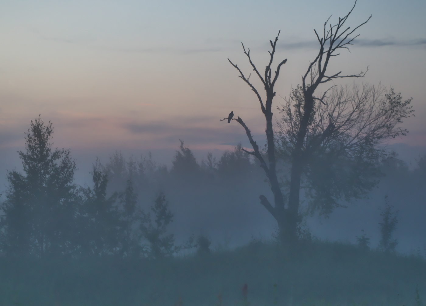 Dort auf unbekannte Wege ...
