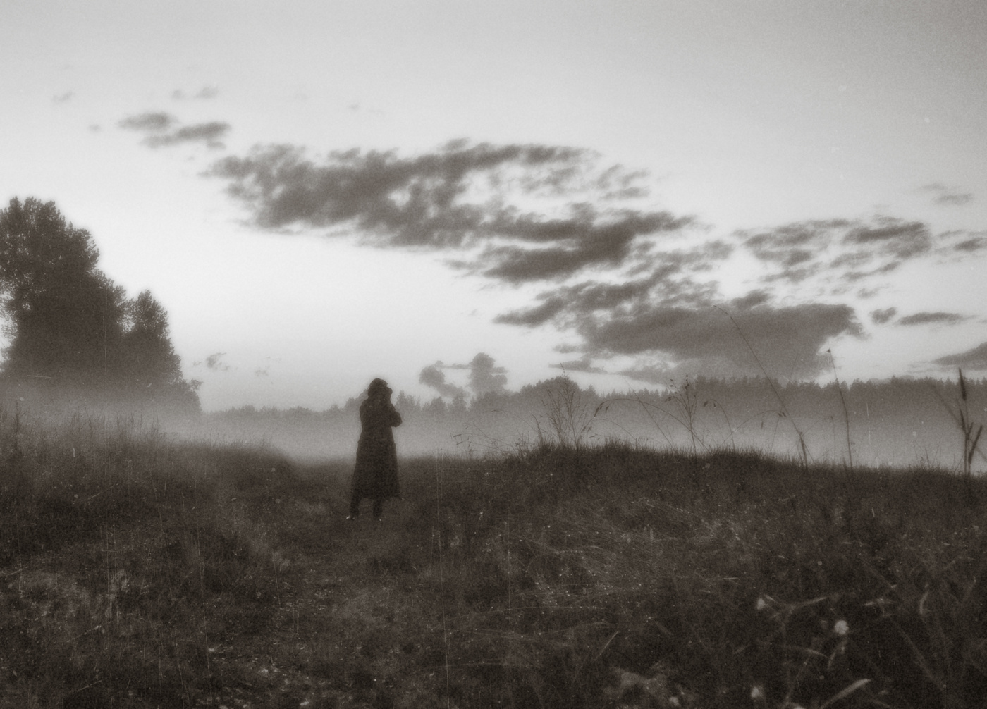 Der frühe Vogel fängt ..