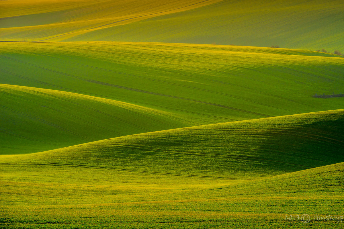 Laufen auf den Wellen