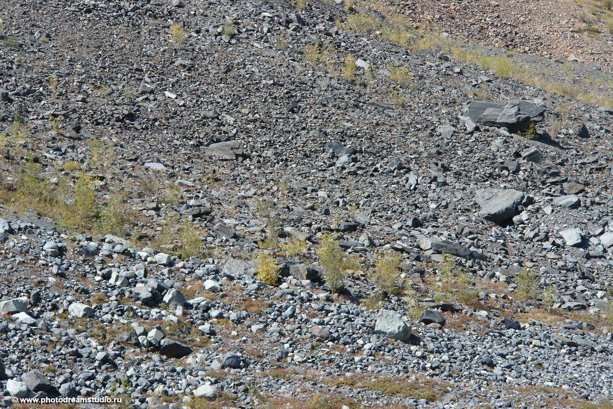 Wer ist nicht versteckt, weiß ich nicht schuld!
