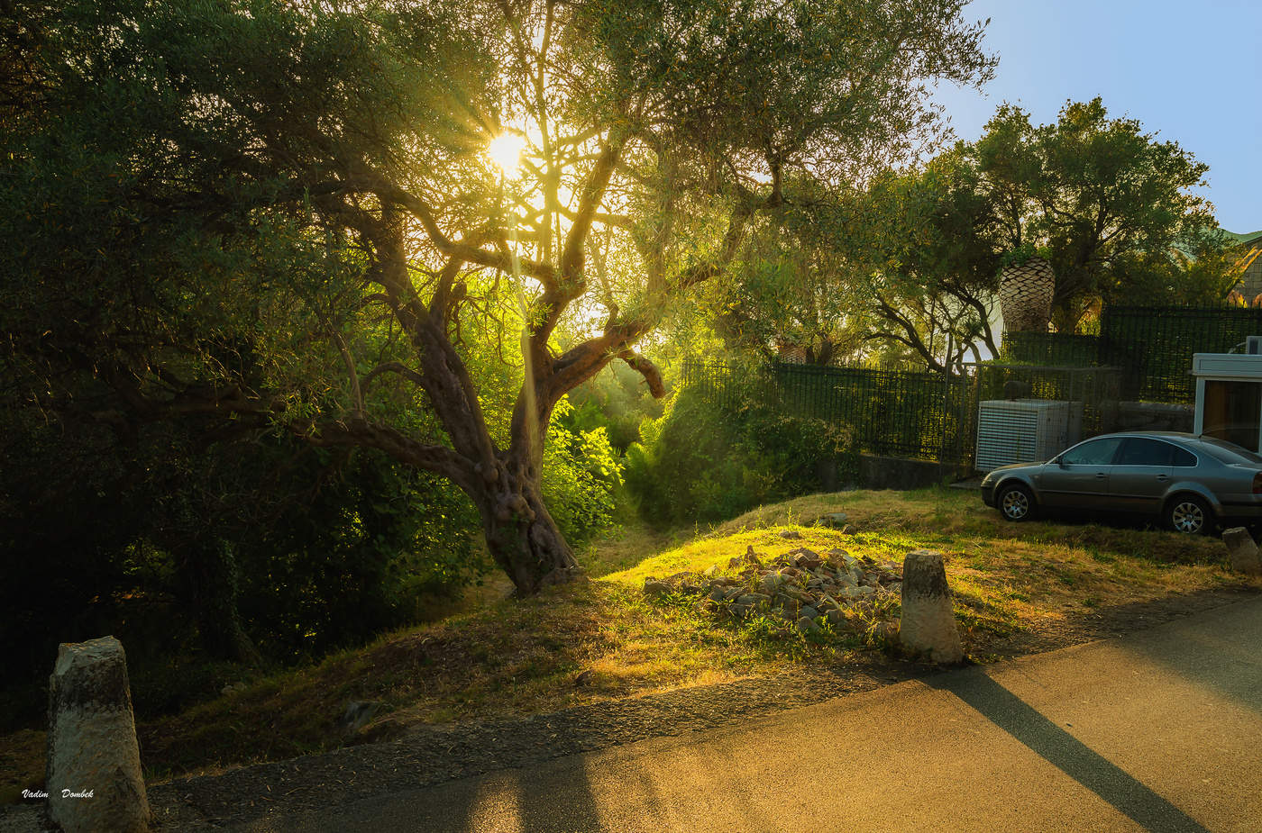 Crna Gora (Montenegro) #8