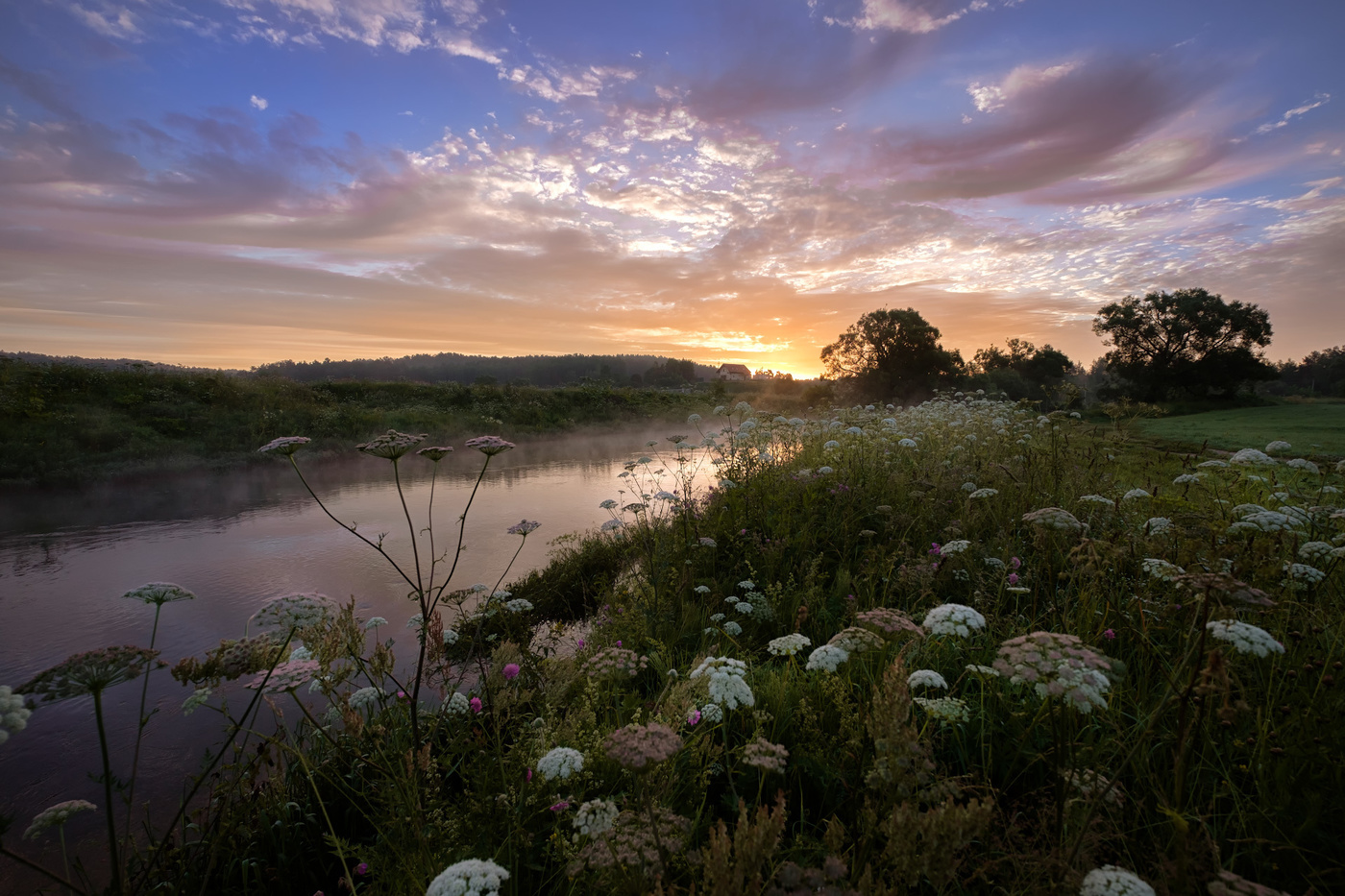 Morgendämmerung am Fluss