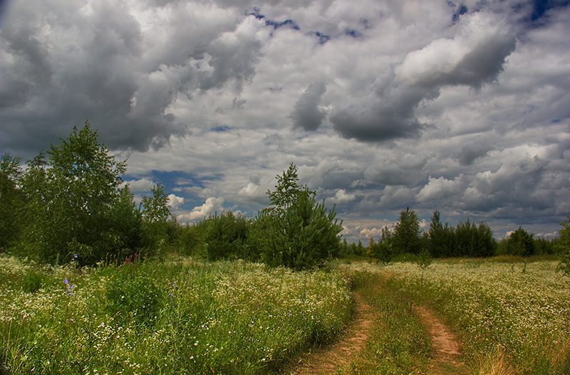 Straße in den Wald