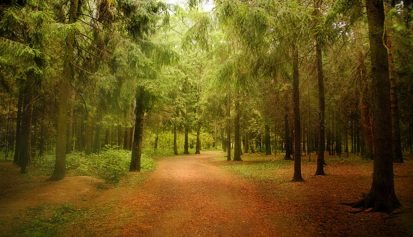 ... Walk in the Park