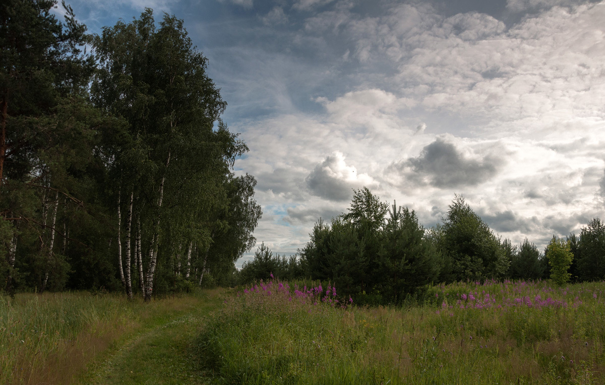 Landschaft in der Nähe von Moskau