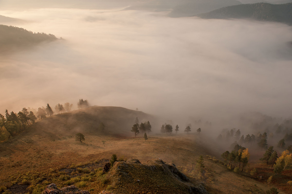 nebligen Morgengrauen