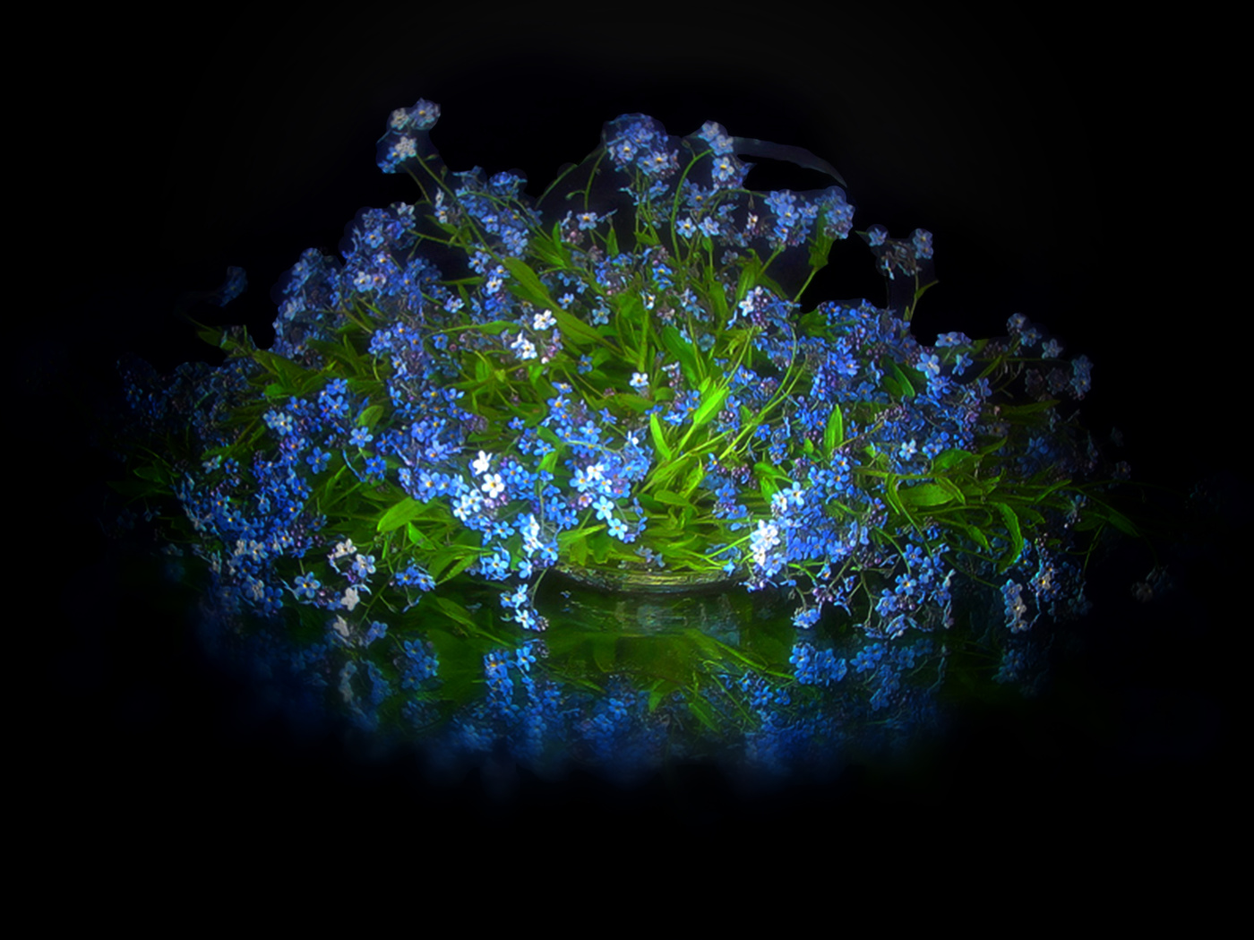 stil life with forget-me-not