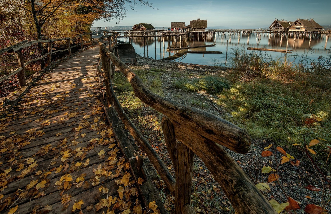 Das Leben auf dem Wasser