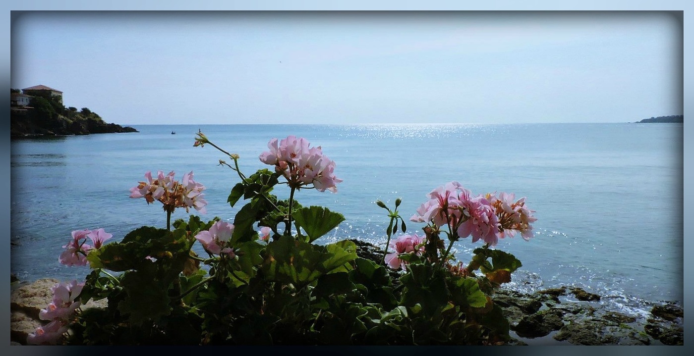 I don't want to say goodbye for the summer...