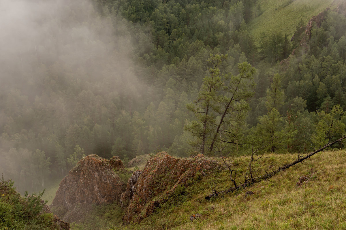 Das Leben geht weiter ...