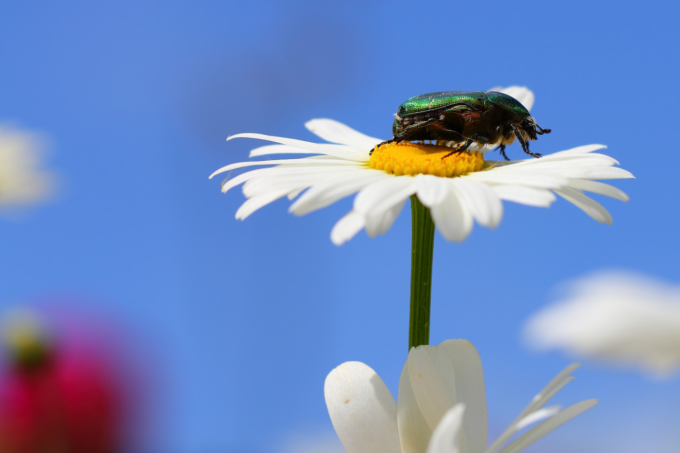 Hoch sitzen, schauen weg ...
