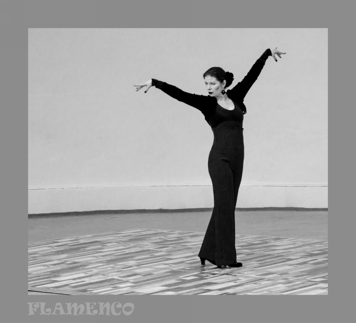 Flamenco 2