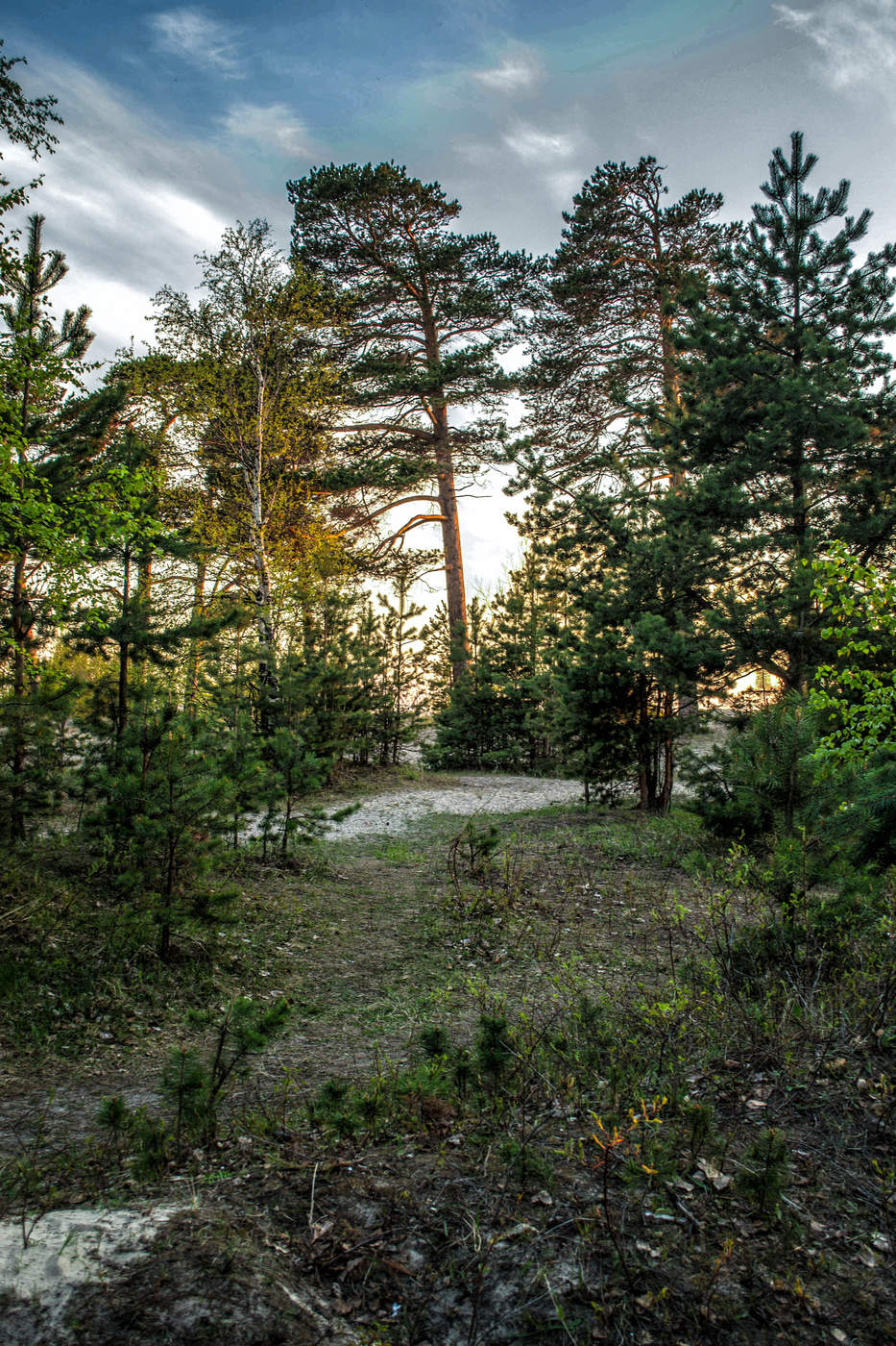Sonnenuntergang am Ufer