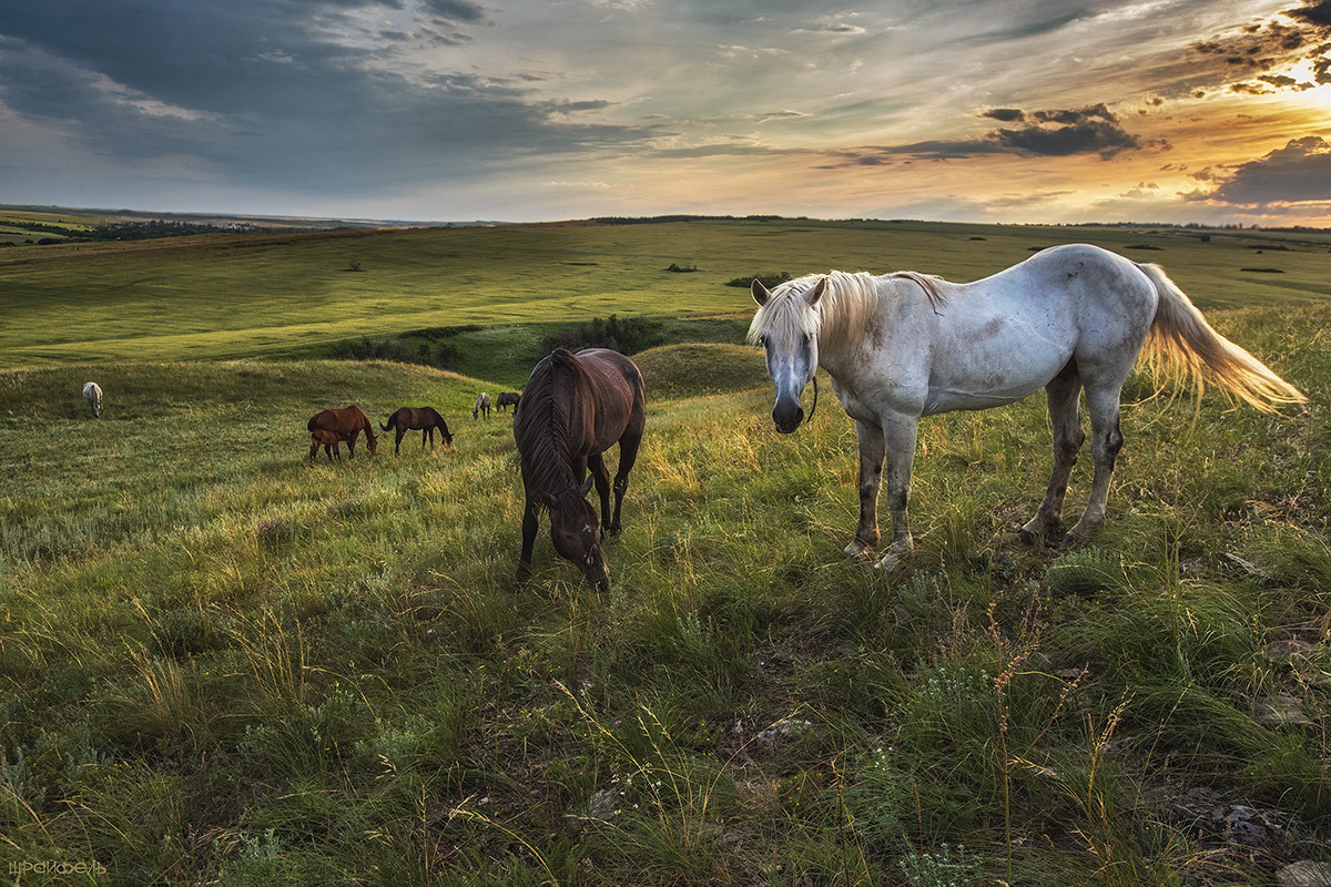 Nach dem Sonnenuntergang