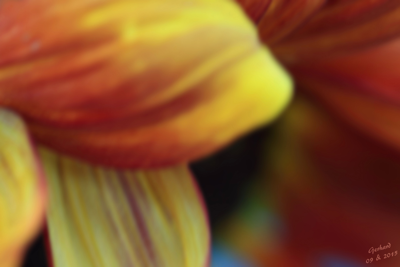 die Unscharfe................