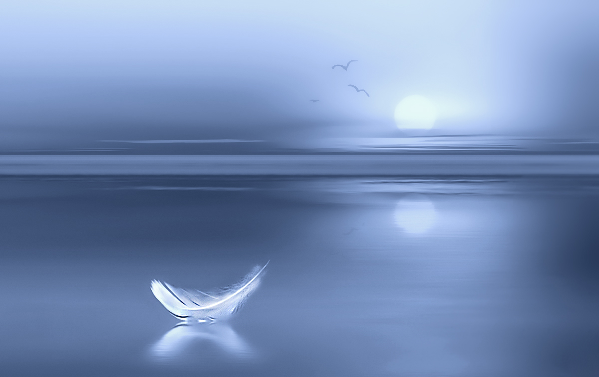 Fliegen Zugvögel ...