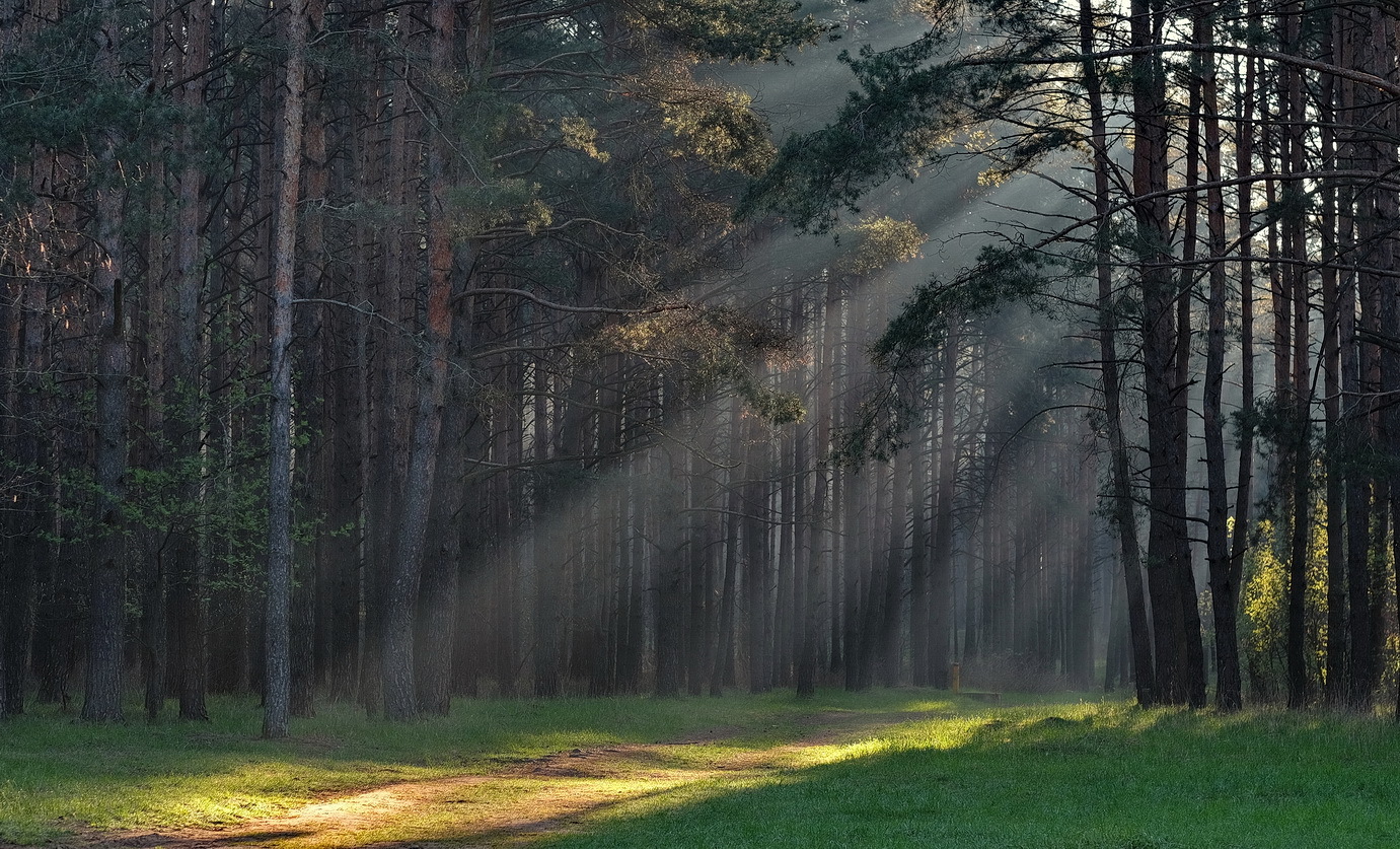 Morgen in der Nähe von Minsk