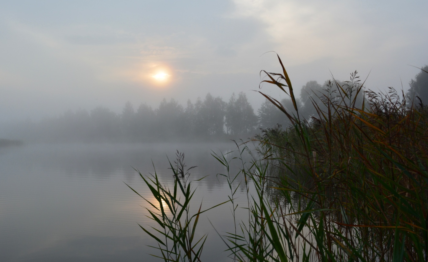 Fog im September