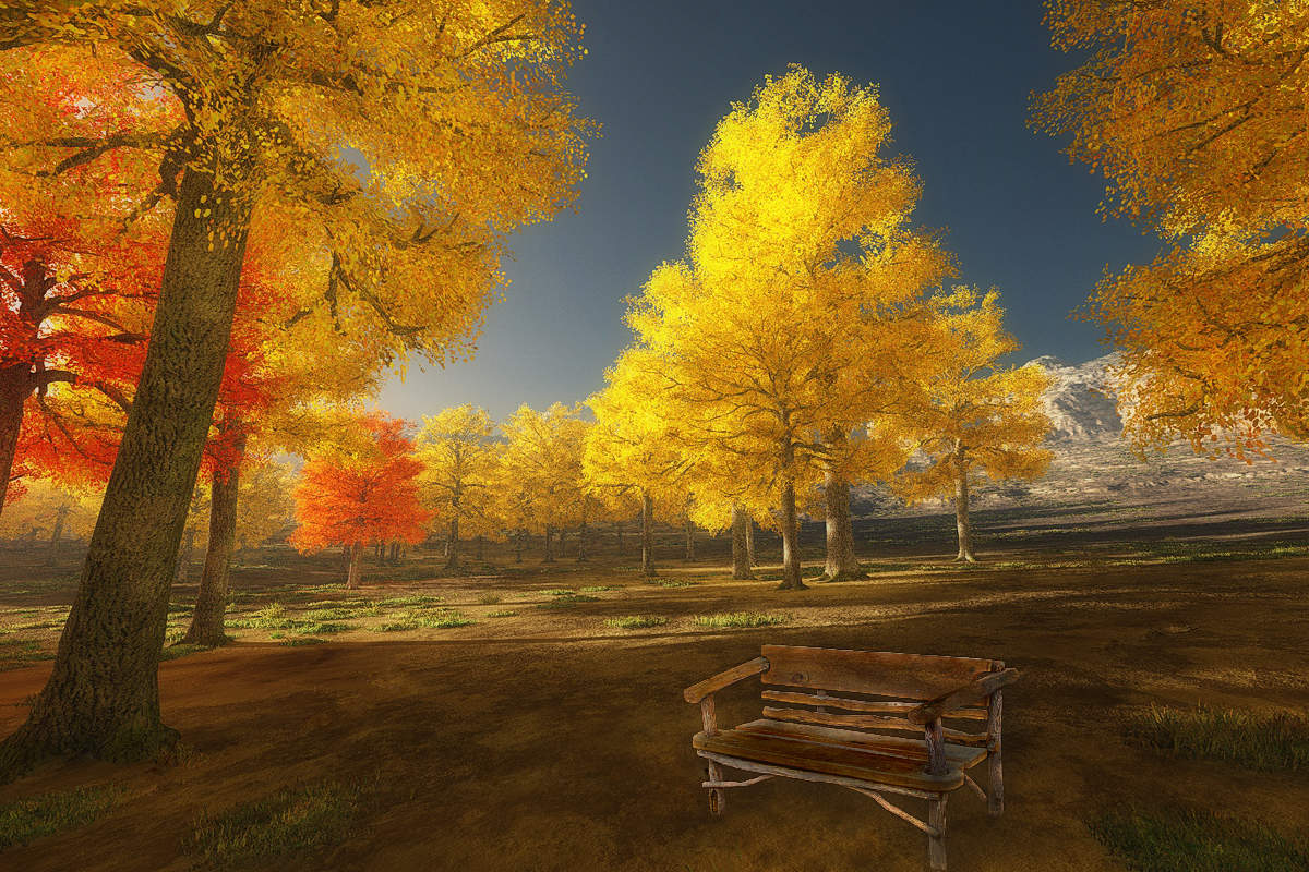 In den herbstlichen Wald ...