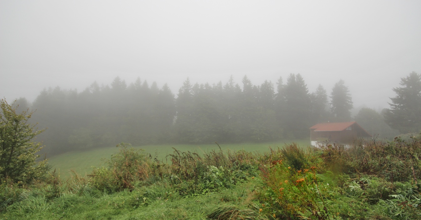 Cottage im Nebel