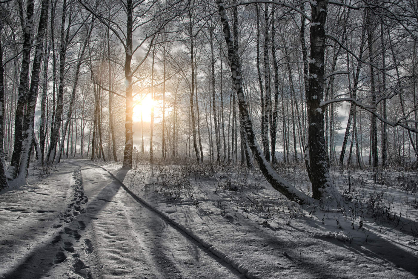 Vorbereitungen für den Winter