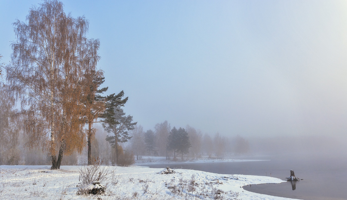 In Erwartung des Winters.