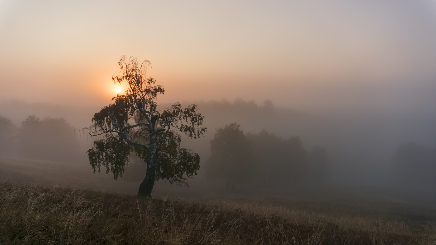 Der frühe Vogel fängt ...