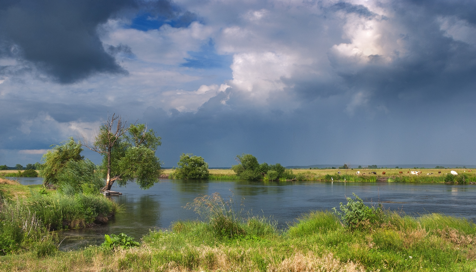 Stürmen pastoralen ...