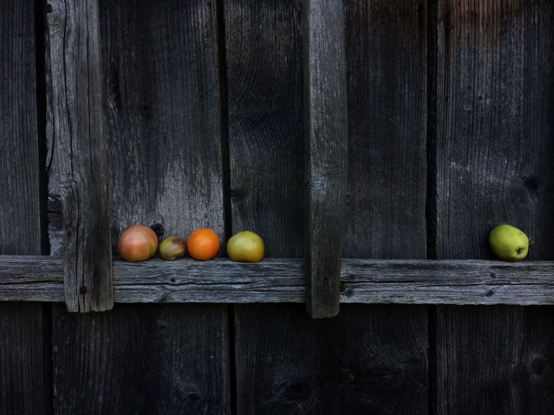 vosenskіya zamaleўkі