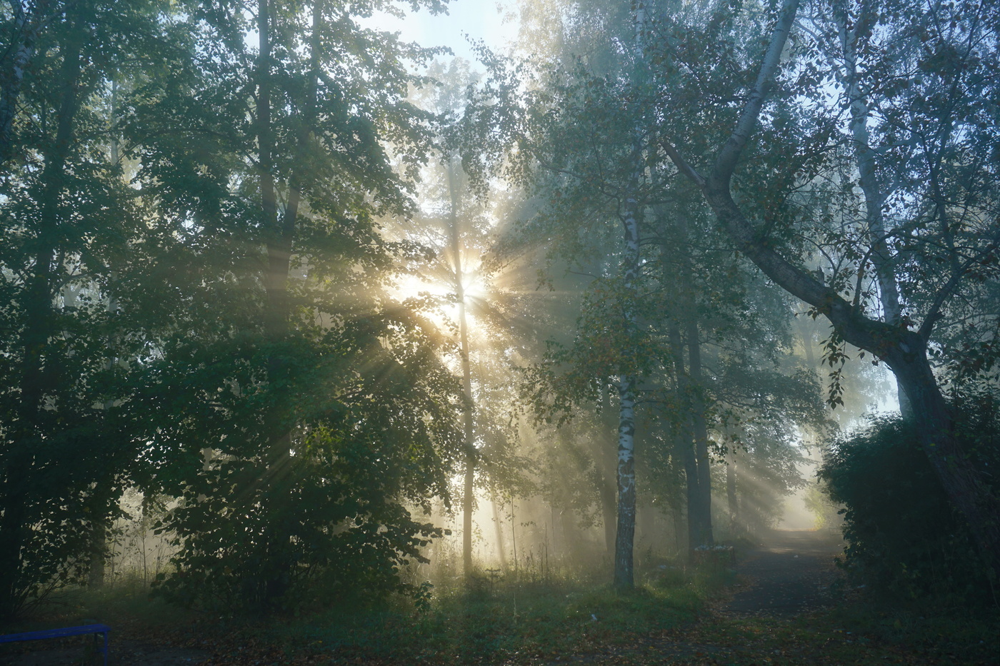 Morgen ein neuer Tag.