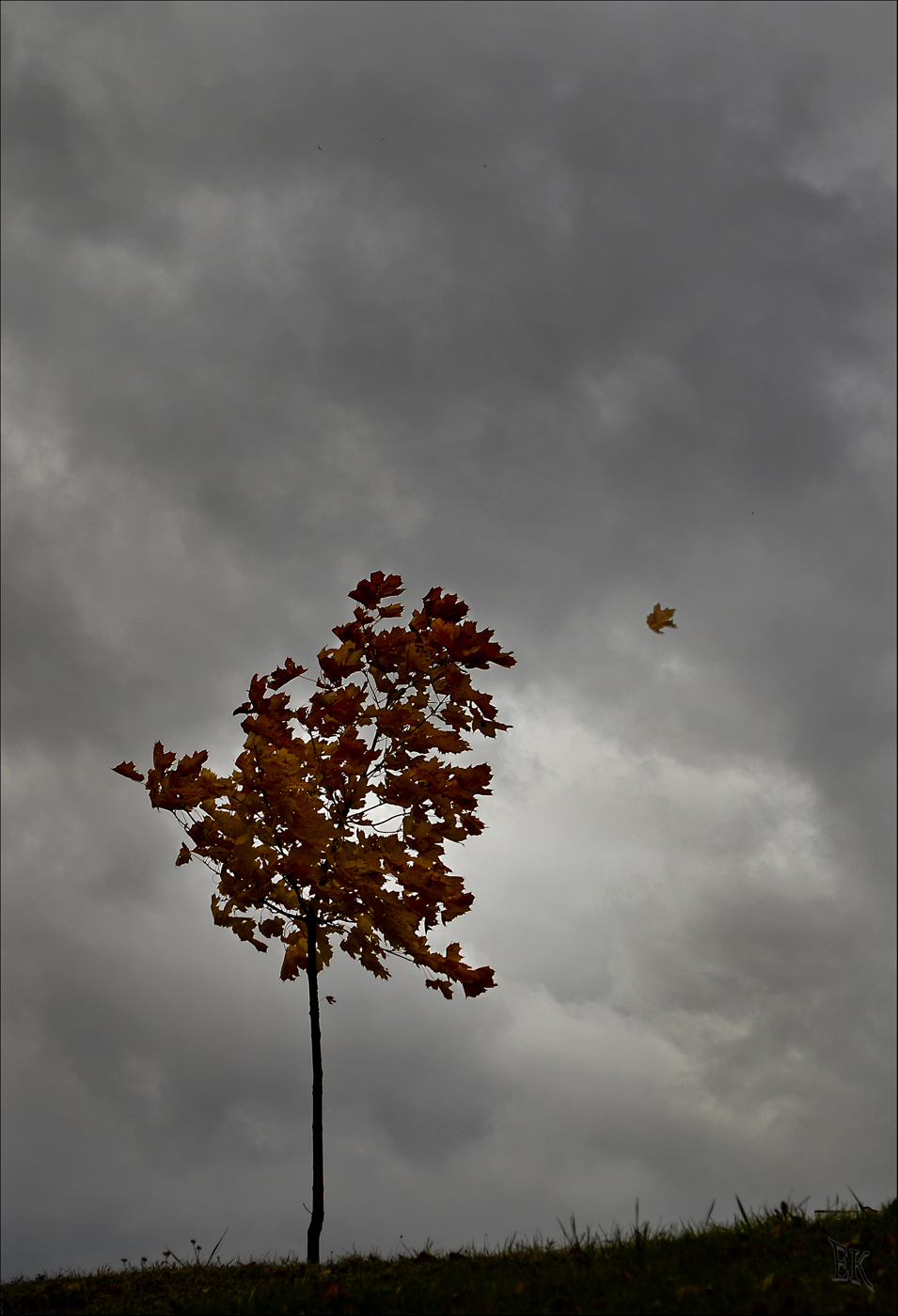 Herbstwind