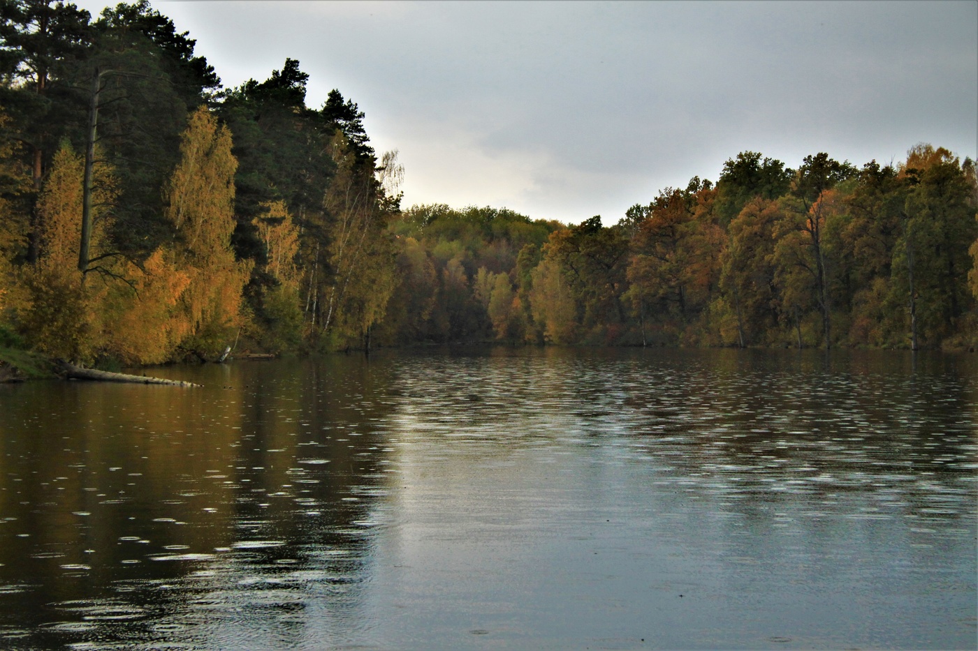 Die Wasseroberfläche