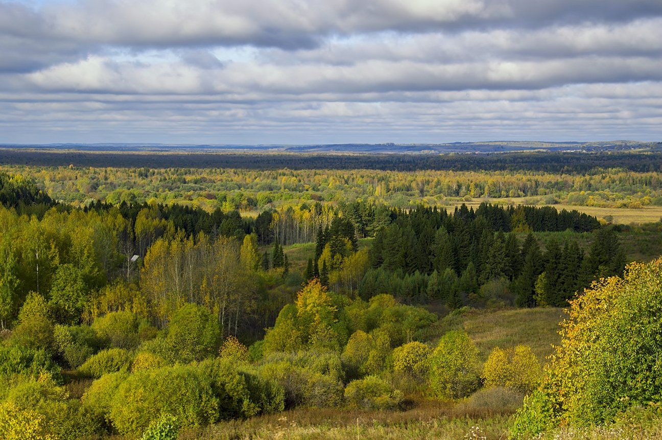 Herbst-Landschaft