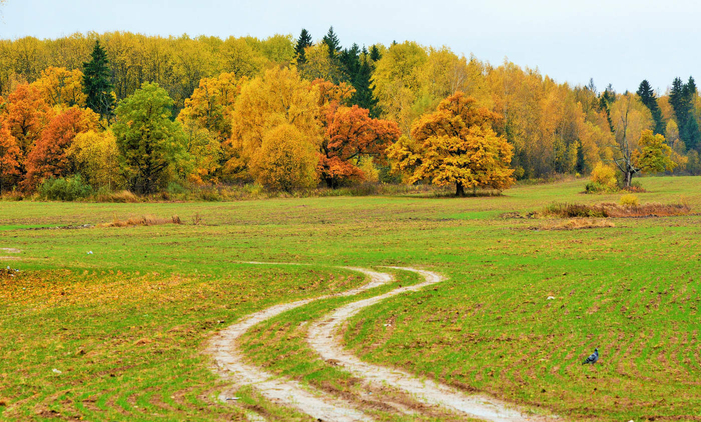 Erfreuliche mir Ihren Abschied Schönheit ...