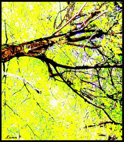 zhaўtsіzna ashalamlyae