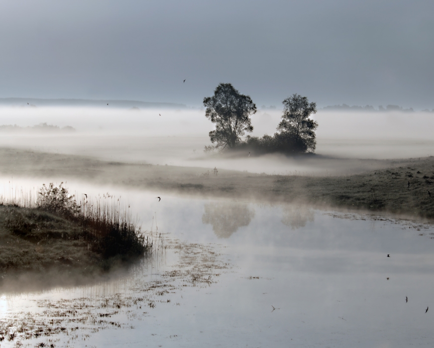 Es ist schon Licht ...