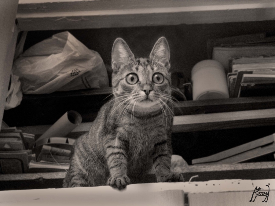 Eroberer der Mezzanine (Take me away!)