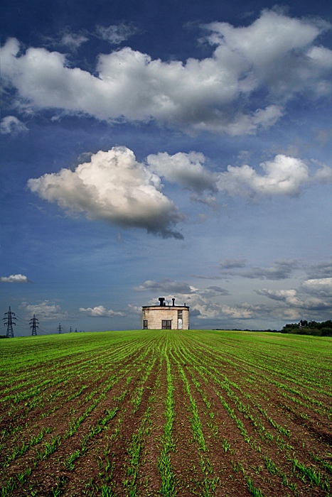Frühlingslandschaft mit Jungpflanzen und die Struktur der unbekannten Zweck