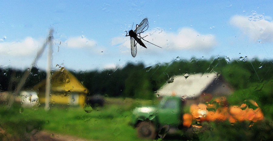 Village peyzazhik mit Elementen der Makro-