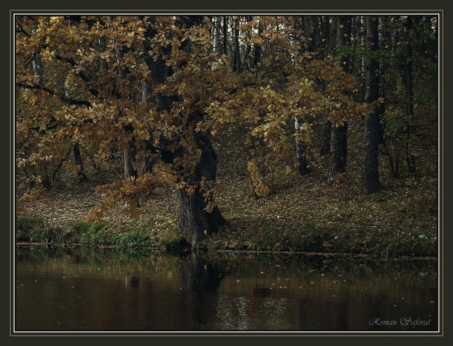 Strange Nostalgie für den Herbst ...