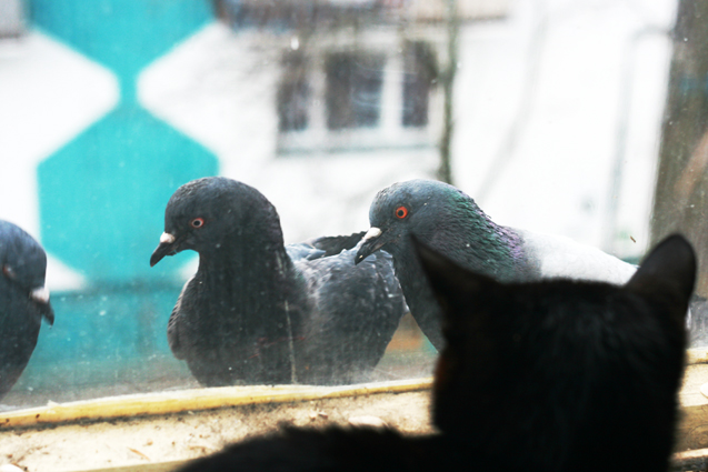 du sollst das dritte