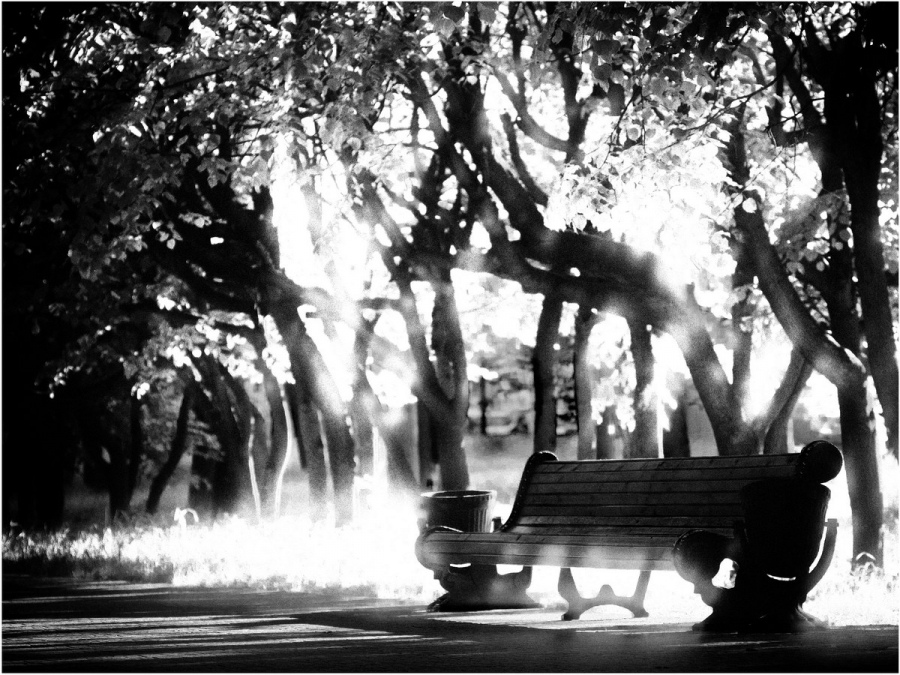 In Erwartung eines neuen Tages ..